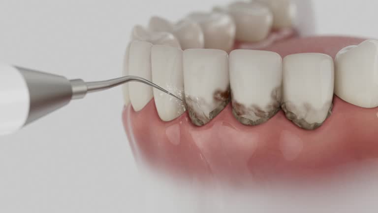 Reliable Dental contractor in LeChee, AZ by Dentist Open Now